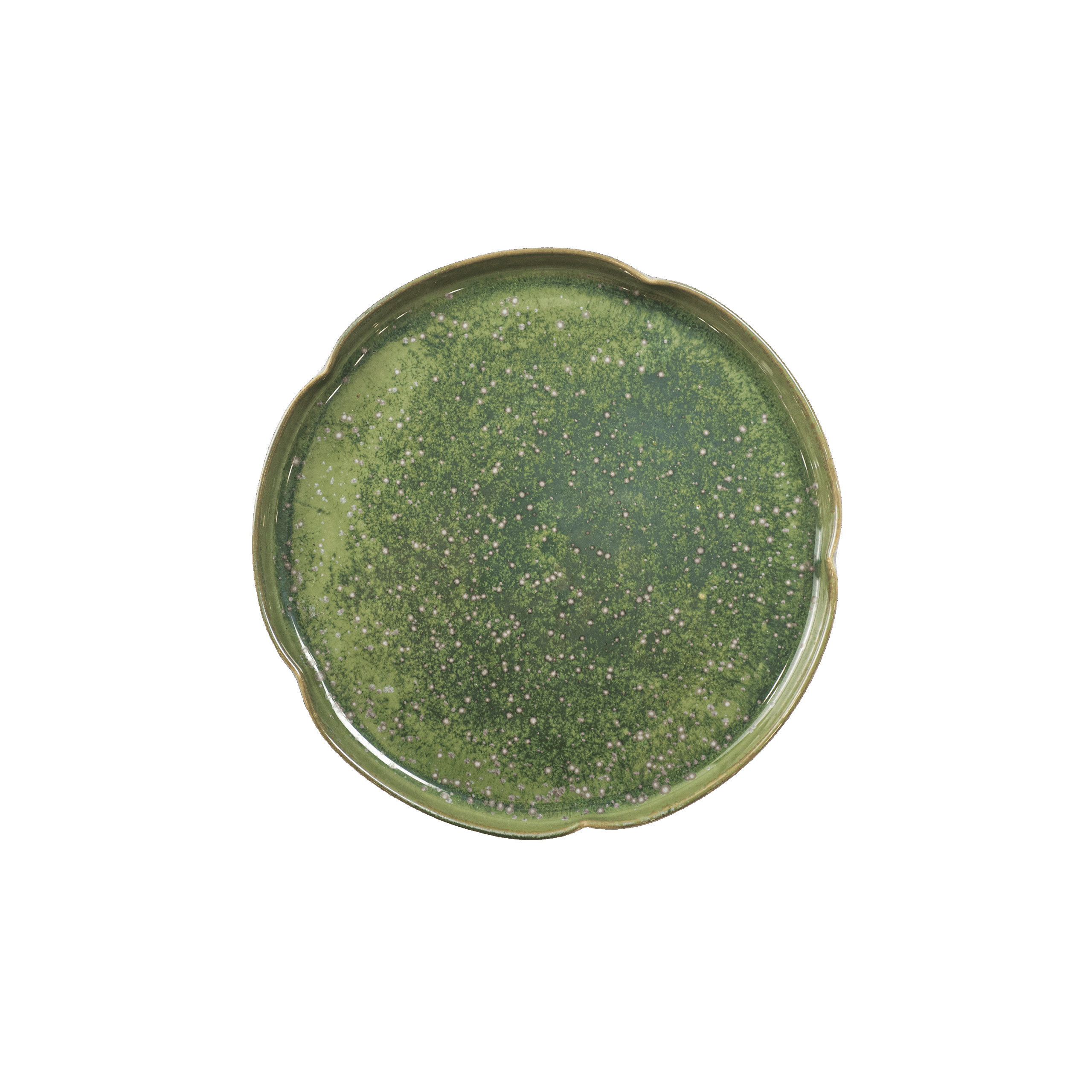 TE clean - Dia su Dong Gia